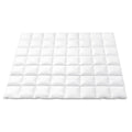 Giselle Bedding 700GSM Duck Down Feather Quilt Duvet Doona Winter Blanket Double