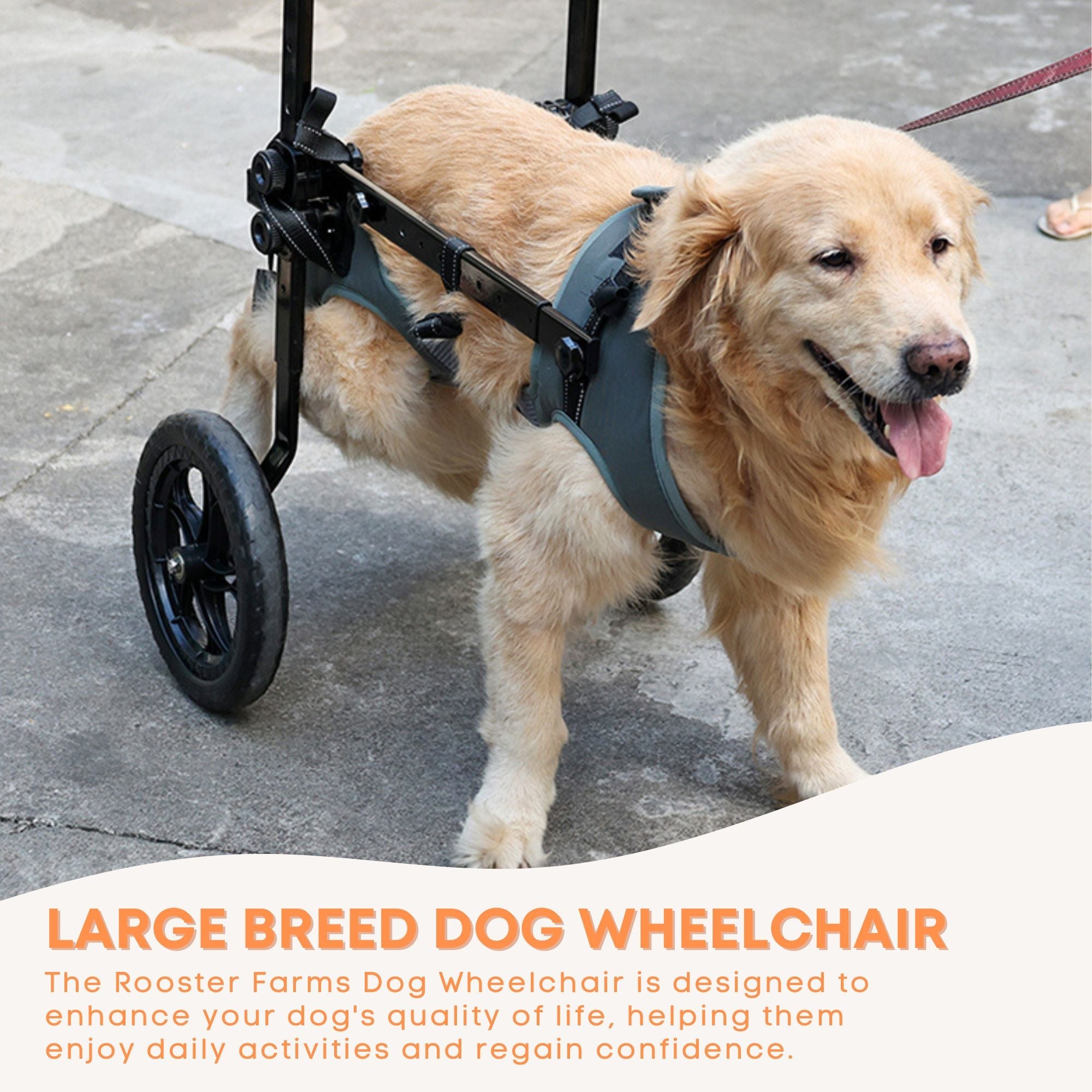 Rooster Farms Large Dog Wheelchair XXL Harness - Adjustable Back Leg Aid