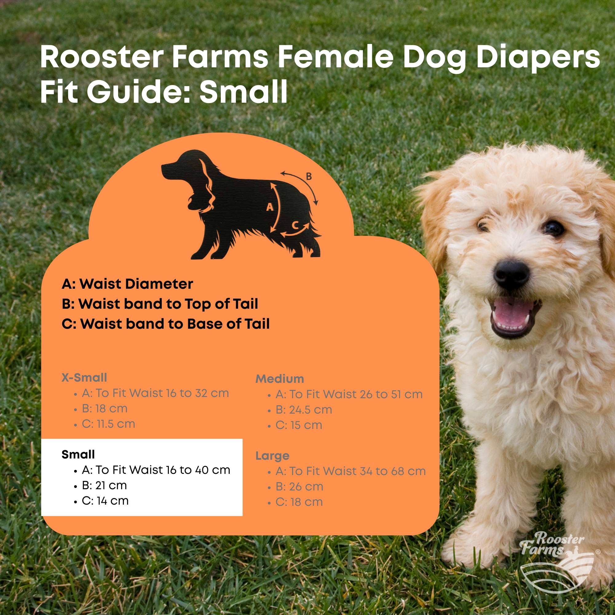 Rooster Farms Female Dog Diapers Small 3Pk - Washable Reusable Nappies Hook/Loop