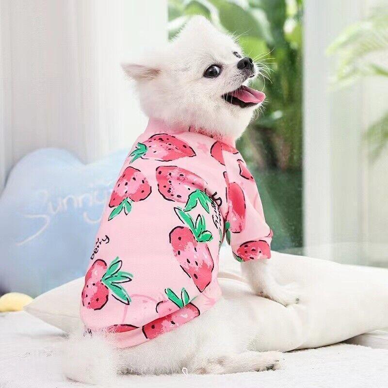 M Size Cute Pet Dog Warm Jumper Sweater Clothes Cat Knitwear Knitted Coats Winter - Purple Camouflage