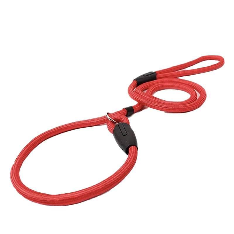 Dog Training Correction Leash Lead Cesar Puppy Pets Millan Slip Nylon Rope 10*140mm - Blue