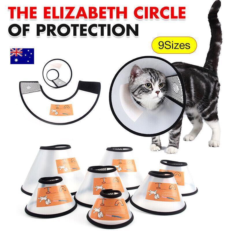 Pet Cat Dog Protective Cone Collar Elizabethan E Collar Wound Healing Recovery - 4