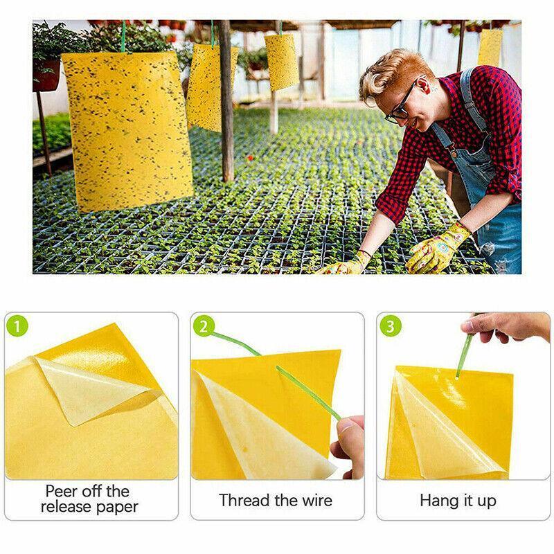 10PCS Yellow Sticky Paper Insect Trap Catcher Killer Fly Aphids Wasp - 25x20cm