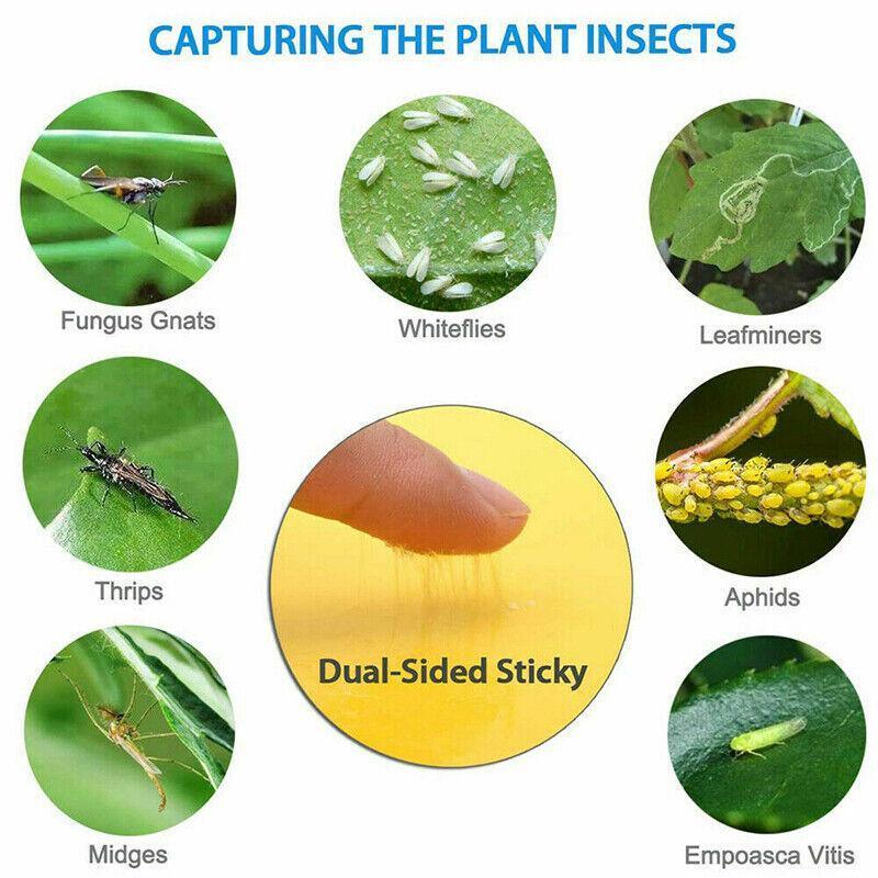 10PCS Yellow Sticky Paper Insect Trap Catcher Killer Fly Aphids Wasp - 25x20cm