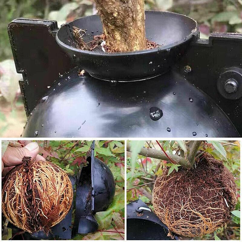 10Pcs Plant Rooting Ball High Pressure Propagation Box Grafting Breeding Device - L-12CM-10PCS