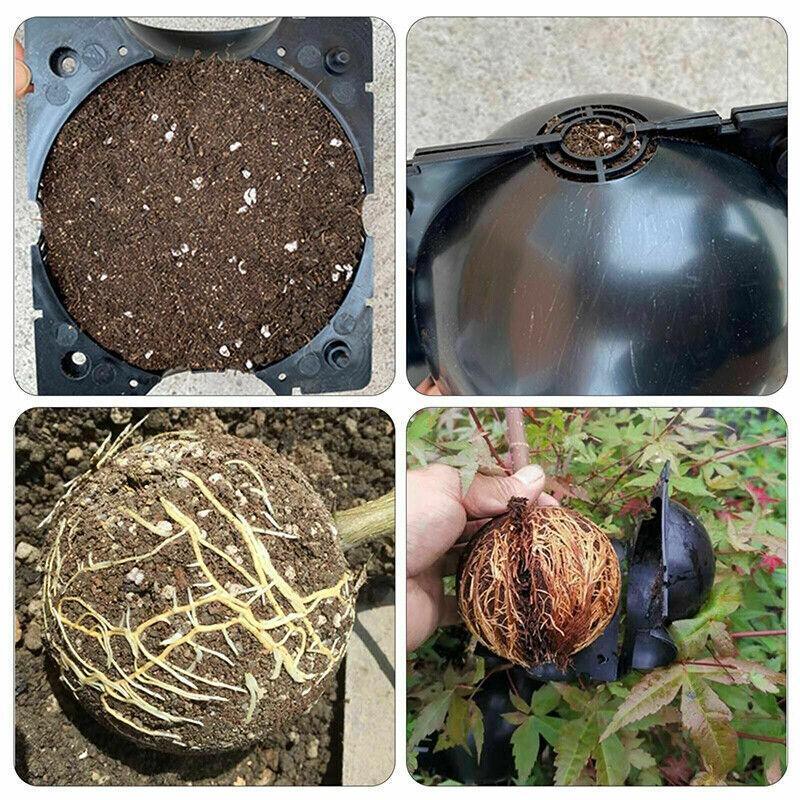 10Pcs Plant Rooting Ball High Pressure Propagation Box Grafting Breeding Device - S-5CM-10PCS