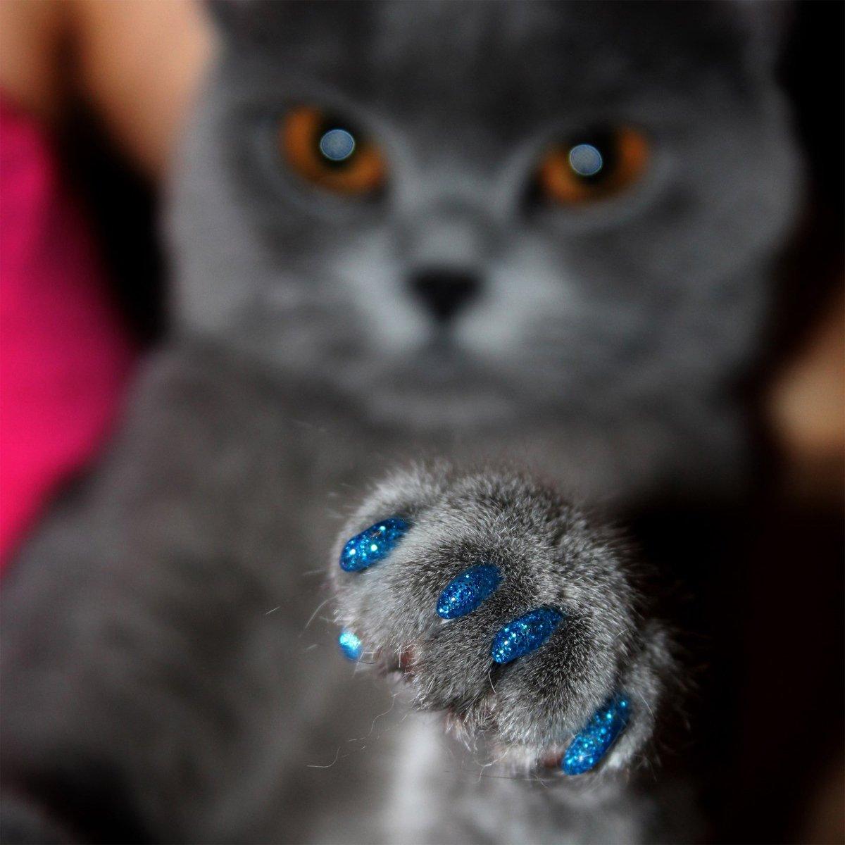 100PCS Anti Scratch Paw Covers for Cats and Kittens Nail Protector Soft Paw - Shiny-M