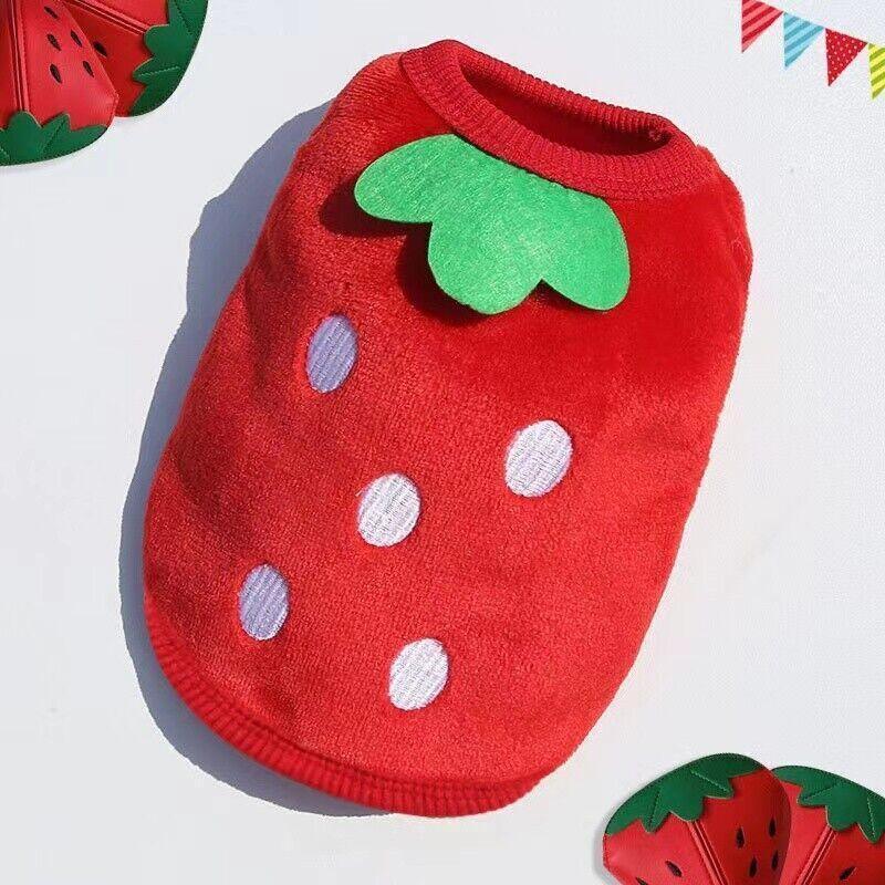 S Size Warm Winter Dog Clothes Soft Fleece Dog Jacket Pet Coat Sweater Cat Jumper - Blue Bell