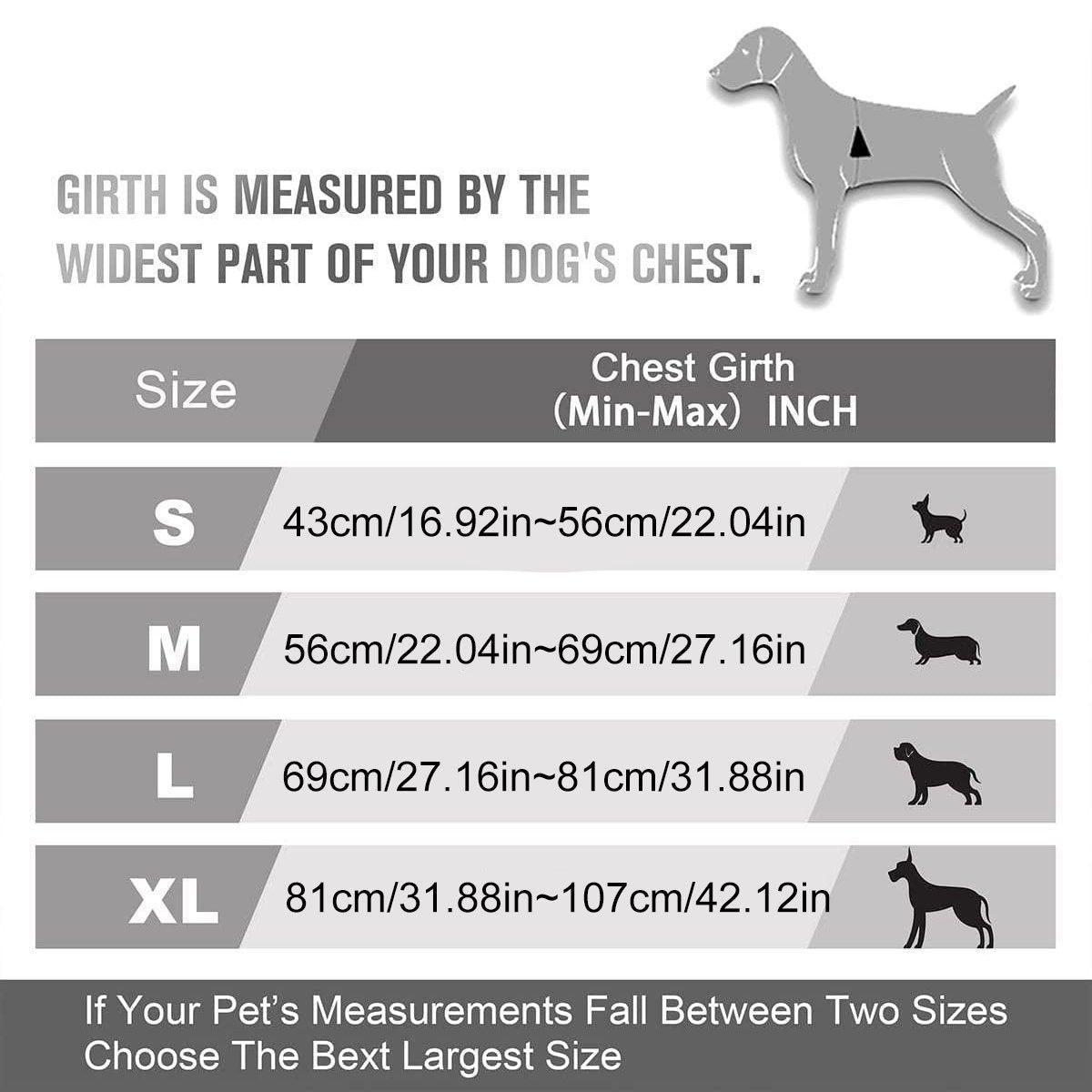 Adjustable No-Pull Dog Harness Vest S-XL Reflective Pet Training Outdoor Handle - Blue-XL