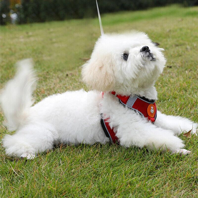 Dog Harness Cat Lead Puppy Leash Vest Mesh Breathe Adjustable Braces Small Pet Red - S