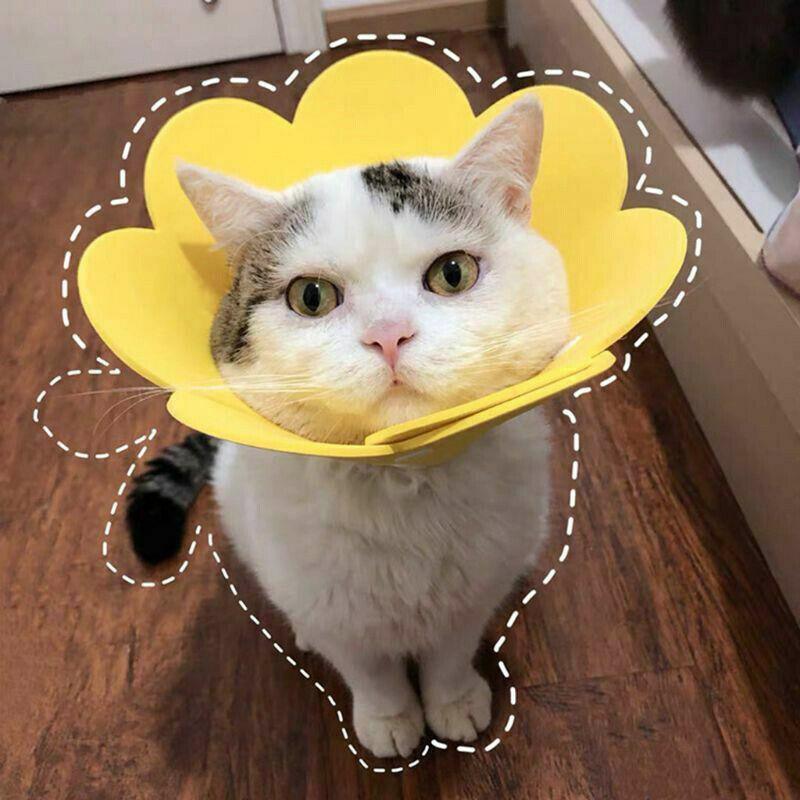 Pet Dog Cat Adjustable Soft Healing Elizabethan Collar Cone Medical Protective - Orange