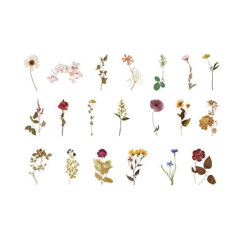 Scrapbooking Flower Stickers Pet Transparent Sticker - B