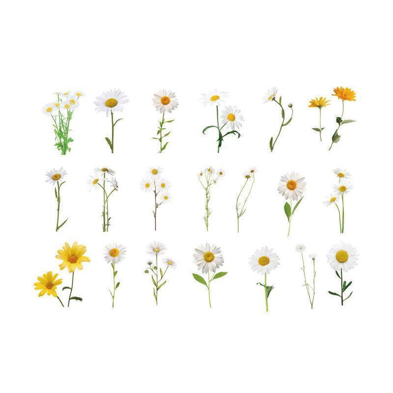 Scrapbooking Flower Stickers Pet Transparent Sticker - D