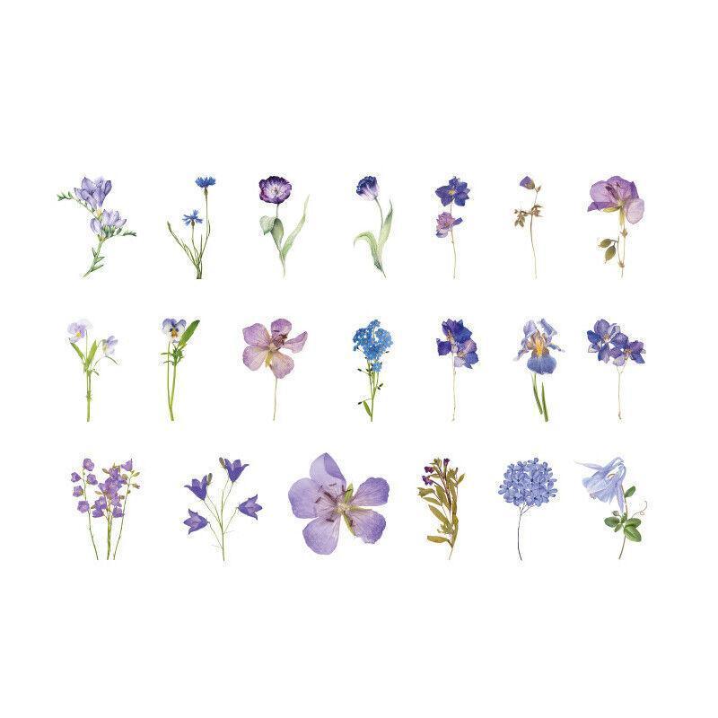 Scrapbooking Flower Stickers Pet Transparent Sticker - G