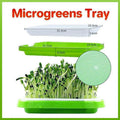 Double Layer Microgreens Tray for Hydroponic Seeding Germination Wheatgrass