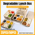 25/50pcs Biodegradable Lunch Box Microwaveable Tray with Compartment Paper Lid - 1400ml-5-25pcs