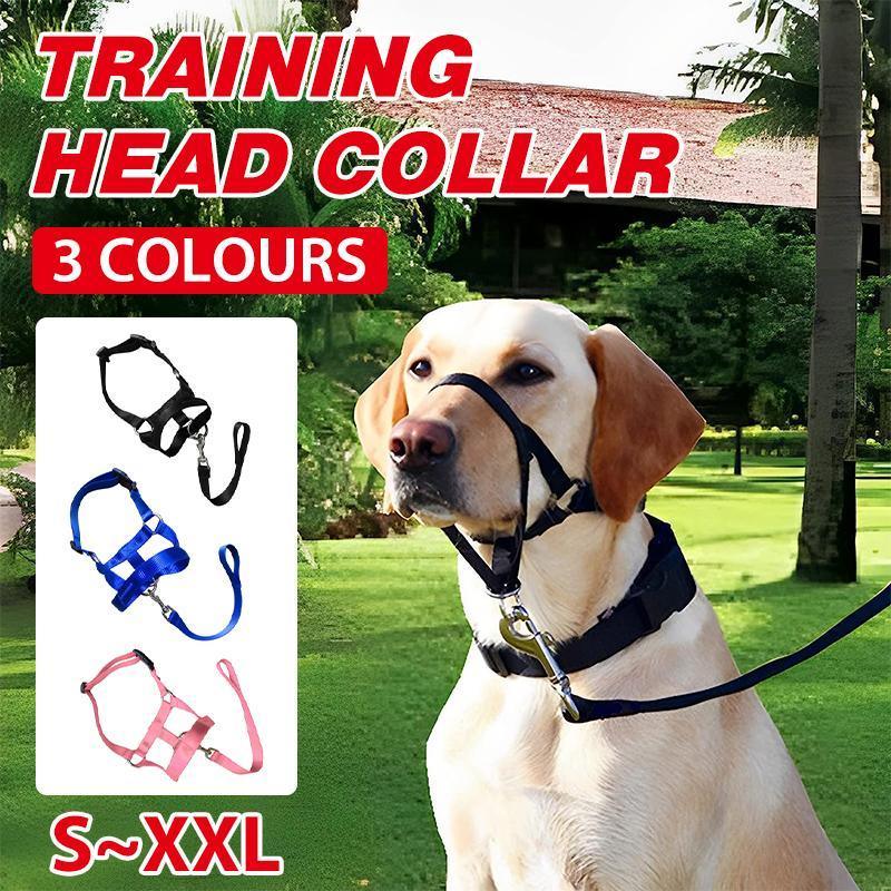 Black Dog Training Head Collar Halter Stop Pulling Training Tool Harness Strap Leader - M
