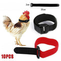 10pcs Rooster Anti Crow Collar Adjustable Nylon Neck Belt Poultry Sound Control - Red