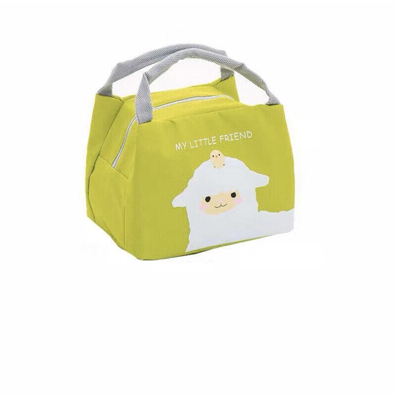 Portable Insulated Thermal Lunch Box Carry Tote Picnic Case Storage Bag 21x17x15cm - C02 (21x17x15cm)