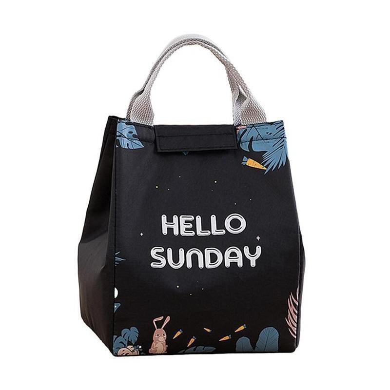 Portable Insulated Thermal Lunch Box Carry Tote Picnic Case Storage Bag 18x24x15cm - E04 (18x24x15cm)