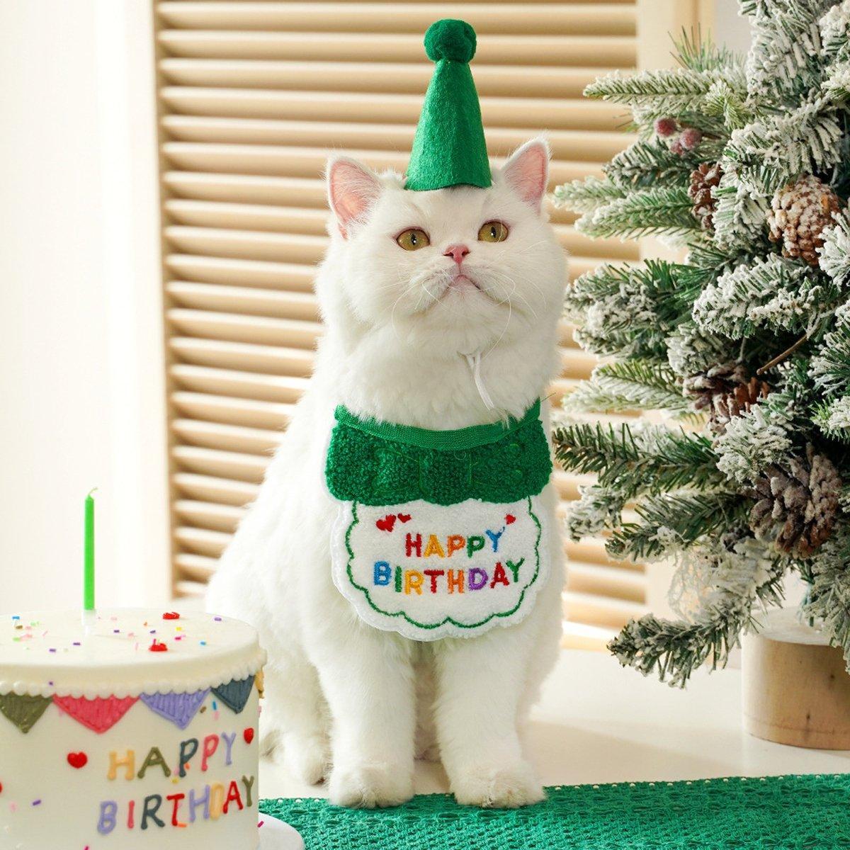Pet Birthday Dog Cat Bib Scarf Hat Accessory Dogs Cats Celebration - Purple
