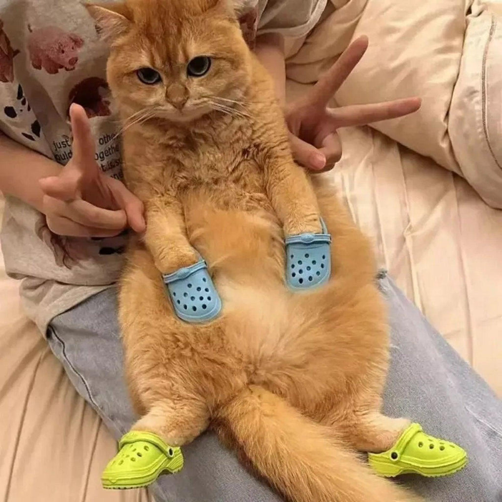 2pcs Shoe Charms Accessories for Shoes Bags Clothing Pet Shoes Decorative Set - Yellow