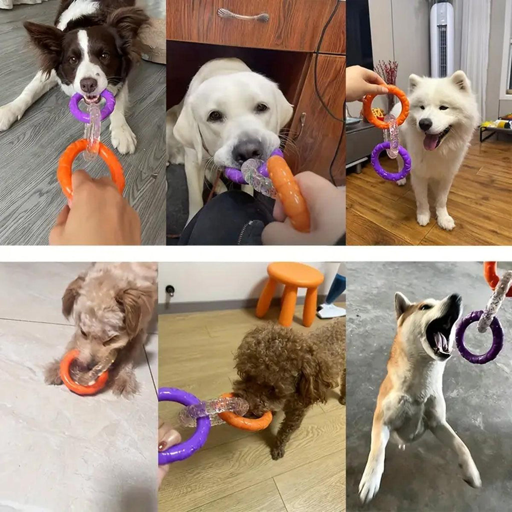Interactive Dog Toys TRP Rubber Ring Teething Pet Rally Ring Chew Play Fetch - Blue-Purple