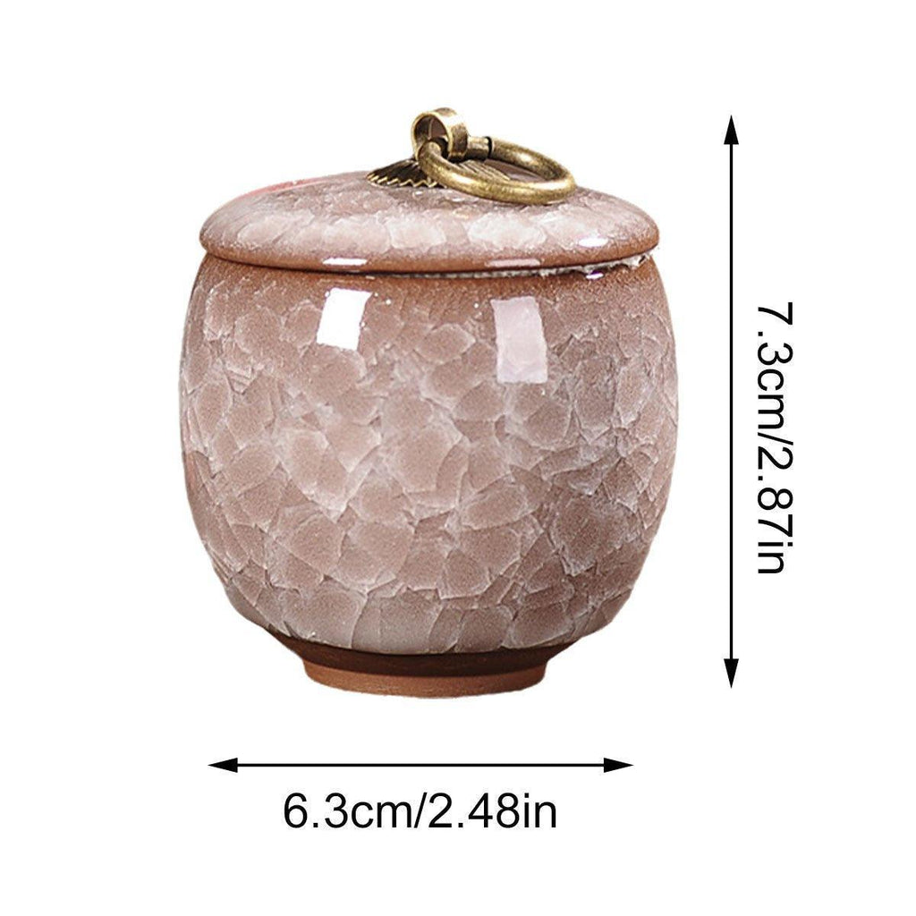 Small Pet Urn for Ashes Memorial Keepsake Urns for Dog Cat Cremation Remains - Blue