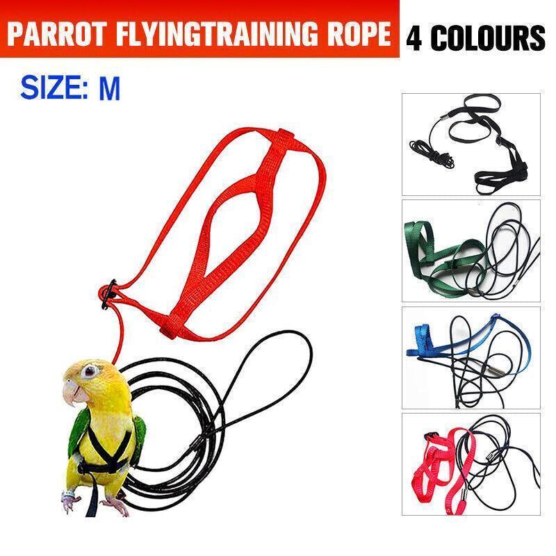 M Pet Parrot Bird Harness Lead Leash Flying Training Rope Cockatiel Outdoor - Red