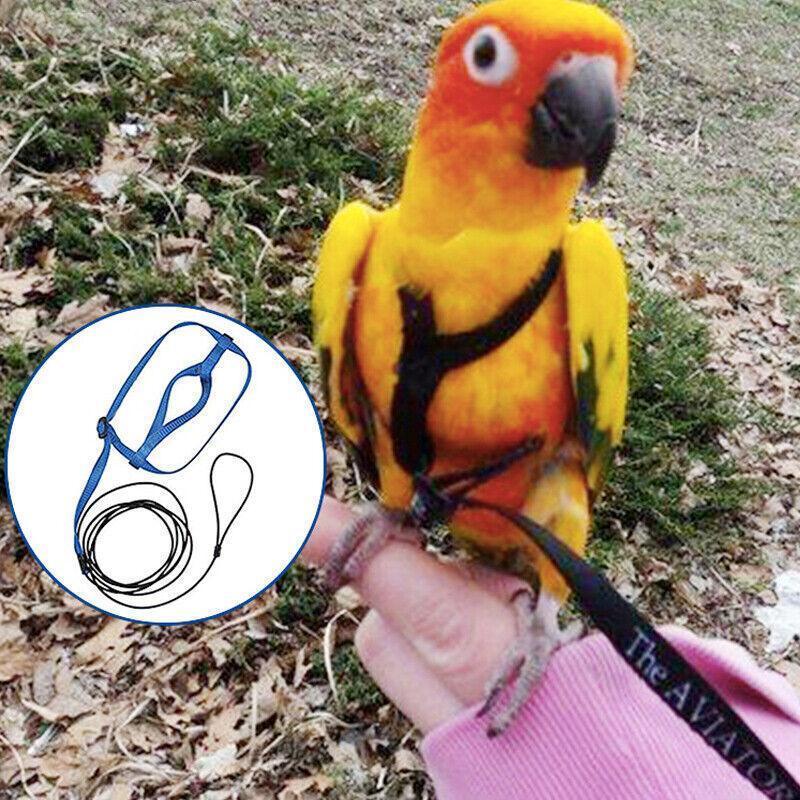 M Pet Parrot Bird Harness Lead Leash Flying Training Rope Cockatiel Outdoor - Red