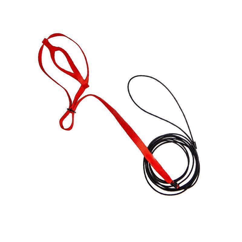 M Pet Parrot Bird Harness Lead Leash Flying Training Rope Cockatiel Outdoor - Red