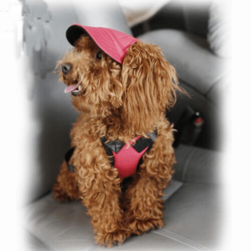 Dog Baseball Cap Outdoor Pet Sun Hat Summer Canvas Visor Puppy M Size - Flower