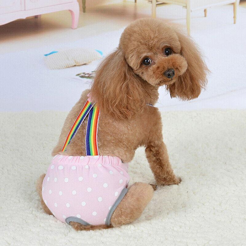 Female Pet Dog Cat Puppy Pant Menstrual Sanitary Nappy Diaper Wrap Underwear Blue - L
