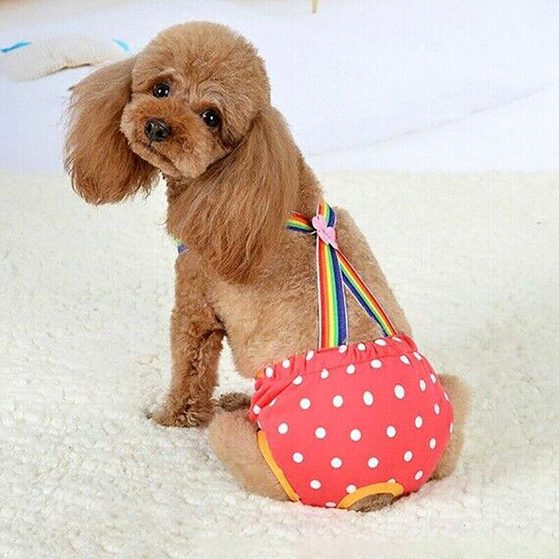 Female Pet Dog Cat Puppy Pant Menstrual Sanitary Nappy Diaper Wrap Underwear Blue - XXS