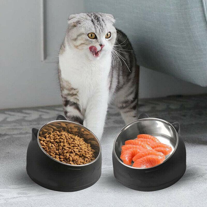 Pet Dog Cat Food Bowl Raised No Slip Stainless Steel Tilted Water Food Feeder - Matcha Green