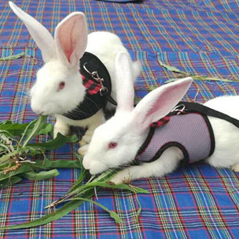 Rabbit Vest Harness Leash Lead Small Animal Pet Mesh Hamster Bunny Traction Rope M - Blue