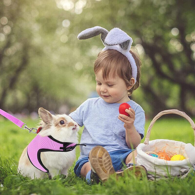 Rabbit Vest Harness Leash Lead Small Animal Pet Mesh Hamster Bunny Traction Rope L - Grey
