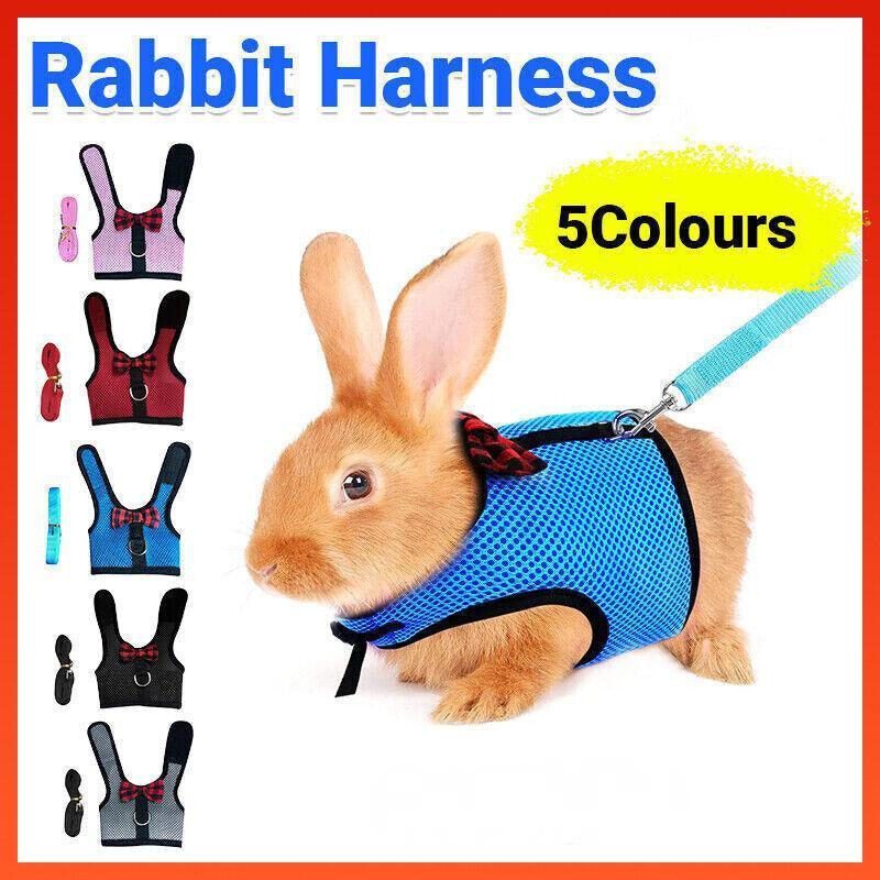 Rabbit Vest Harness Leash Lead Small Animal Pet Mesh Hamster Bunny Traction Rope M - Pink