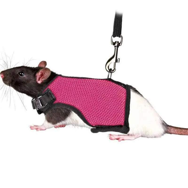 Small Animal Harness Guinea Pig Forret Hamster Rabbit Squirrel Vest Clothes Lead M Size - Blue