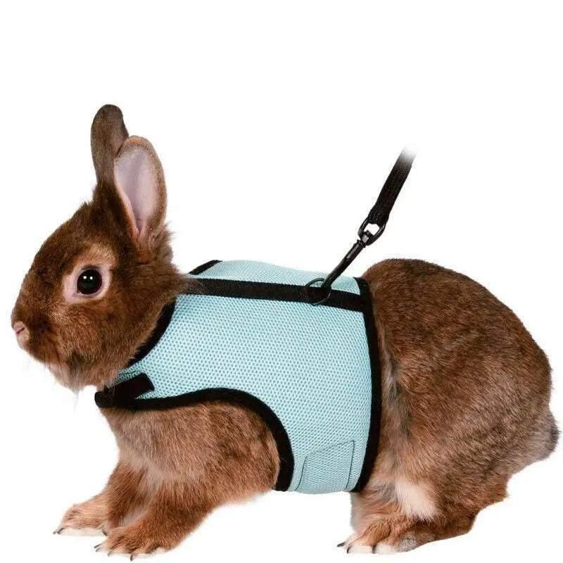 Small Animal Harness Guinea Pig Forret Hamster Rabbit Squirrel Vest Clothes Lead M Size - Blue