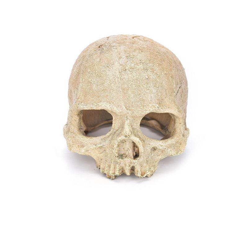 Artificial Fake Skull Head Bone Aquarium Ornament Fish Tank Decoration - Pirate