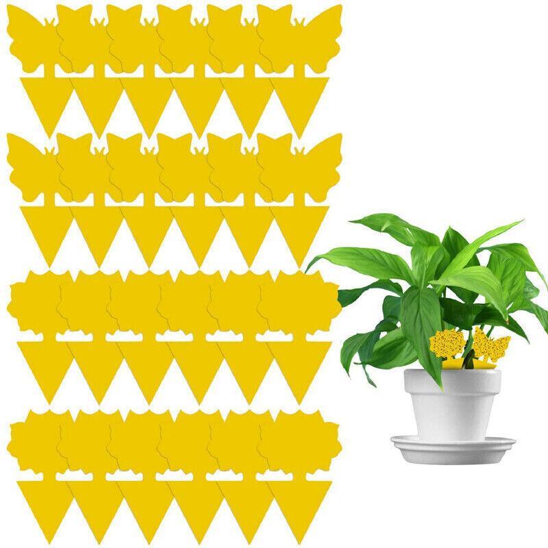 10X Dual Sided Sticky Trap Insect Killer Whitefly Thrip Fruit Fly Gnat - Sunflower 50PCS