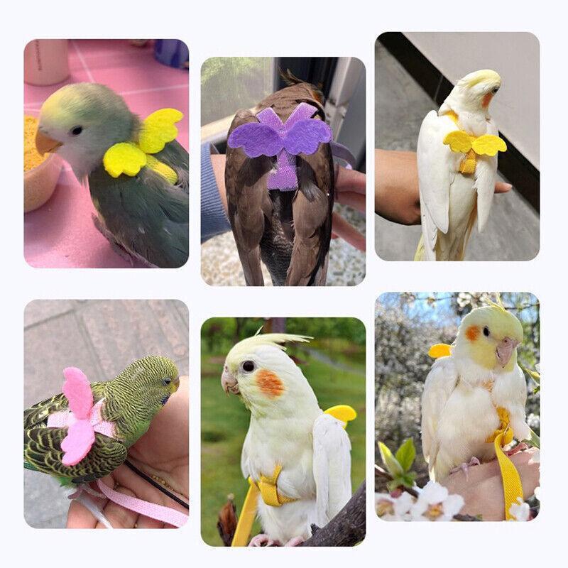 Parrot Bird Harness Leash Adjustable Flying Training Rope Cockatiel Conure Budgie - Pink