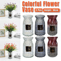 2 Pcs Glass Vase Hydroponic Flower Arrangement Vase for Living Room Decoration - Transparent