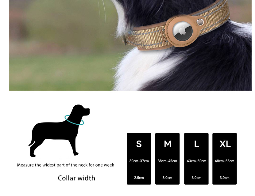 XL Blue-green Secure Nylon Dog Collar with Built-in Apple AirTag (not included) Holder Case - Pet Tracker Accessory