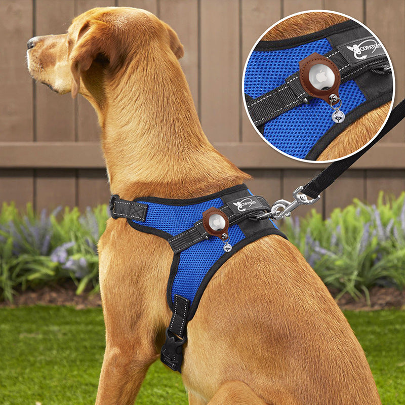 XL Blue-green Secure Nylon Dog Collar with Built-in Apple AirTag (not included) Holder Case - Pet Tracker Accessory