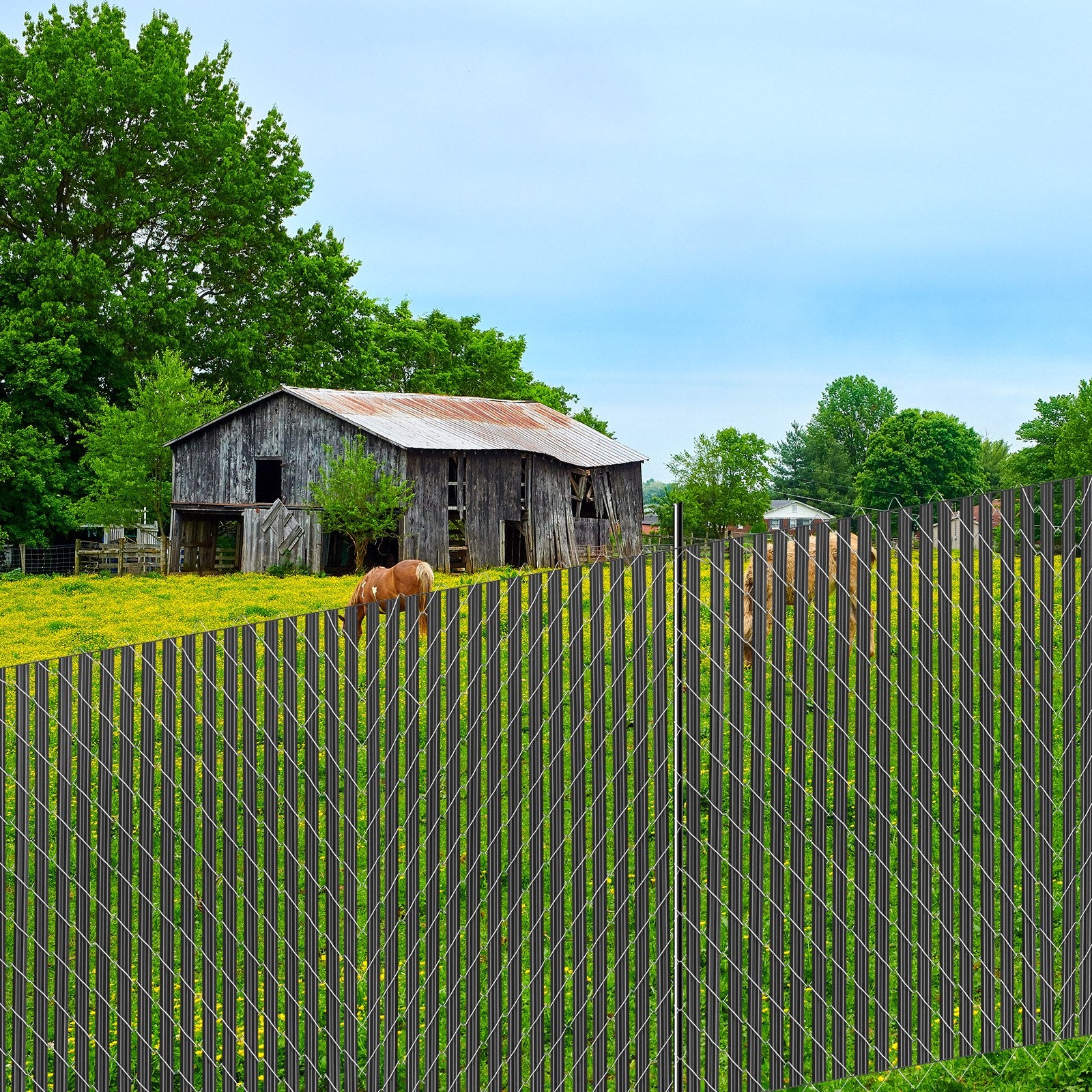 VEVOR Bottom Locking Privacy Slats, Single-Wall Vertical Bottom-Locking Slats for Chain-Link Fence, High-Density HDPE Chain Link Slats Ideally Fit 1.8 m High Fence for Garden Farm Sports Field(Black)