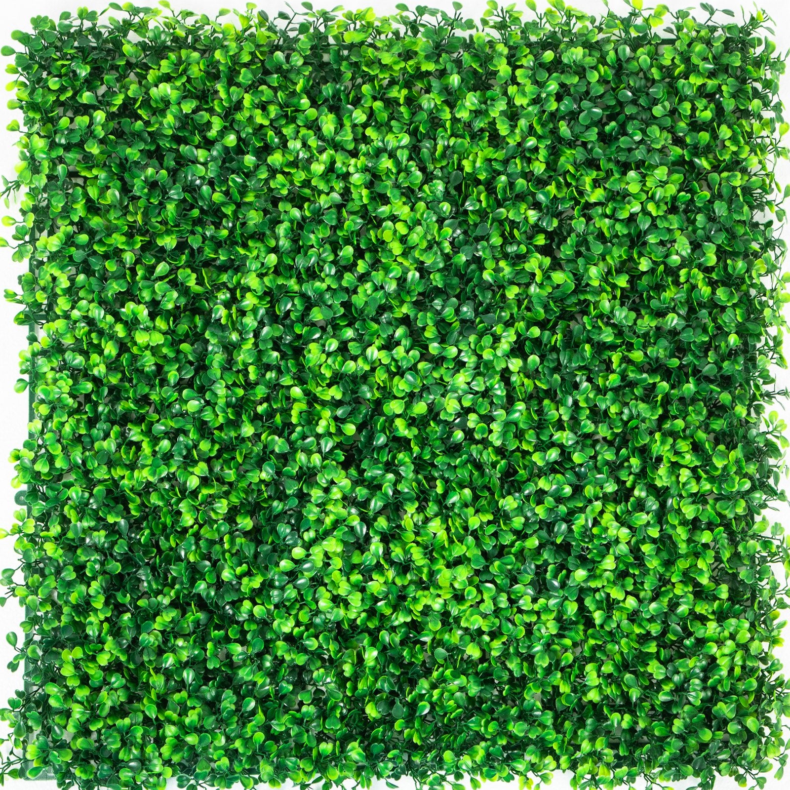VEVOR Artificial Boxwood Panels, 14 PCS50.8x50.8cmBoxwood Hedge Wall Panels, PE Artificial Grass Backdrop Wall 4 cm , Privacy Hedge Screen for Decoration of Outdoor, Indoor, Garden, Fence, and Backyar