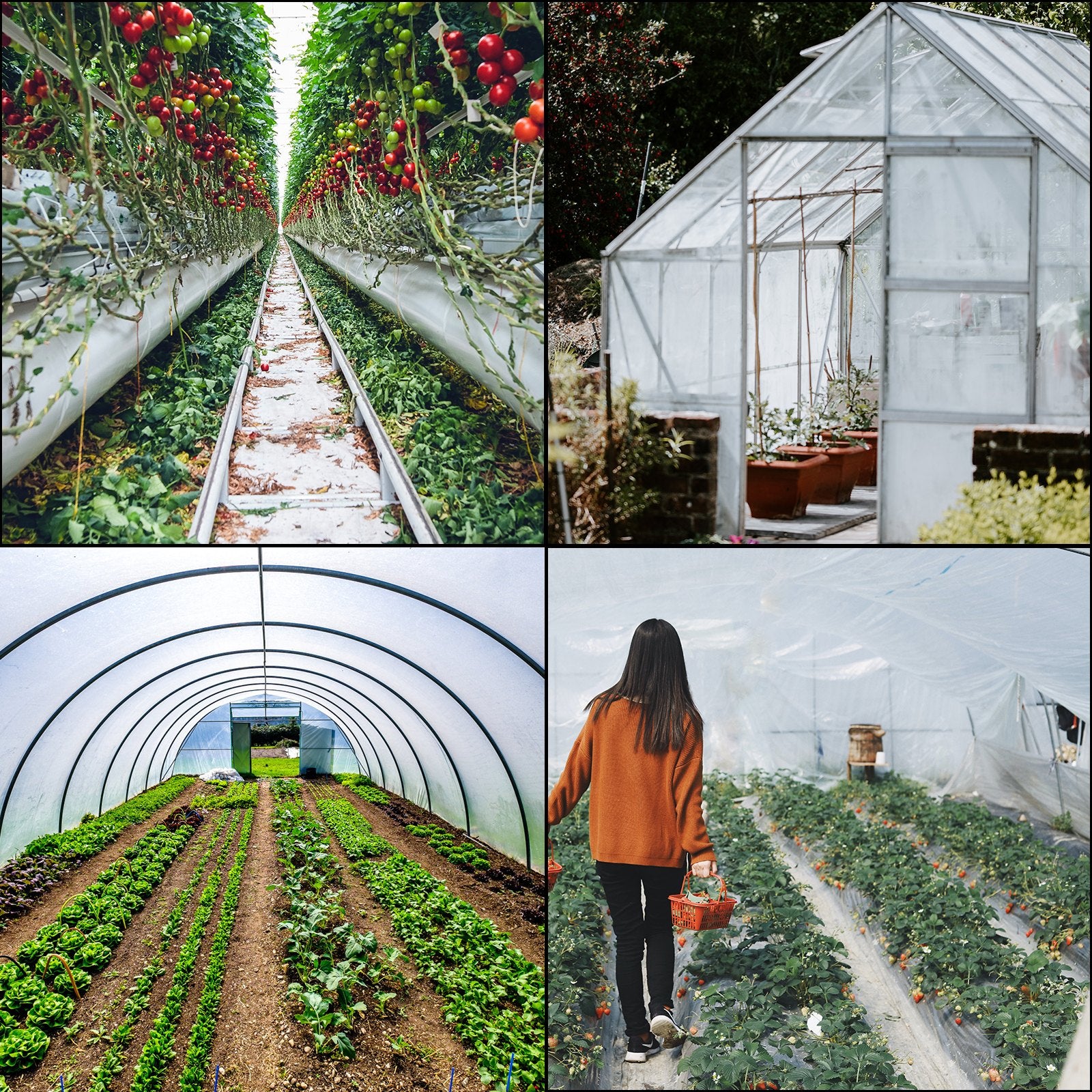 VEVOR Greenhouse Film, Greenhouse Polyethylene Film 20x28 ft Greenhouse Plastic