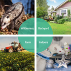 Animal Trap Cage Folding Humane Live Safe Catch Possum Fox Rat Rabbit Bird
